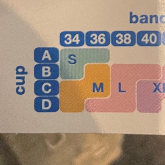 Small Bra - Picture 3 of 4